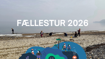 fællestur på stranden